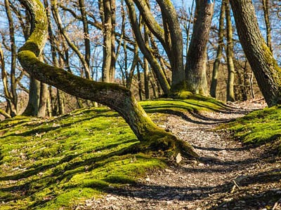 免费信息轰炸机